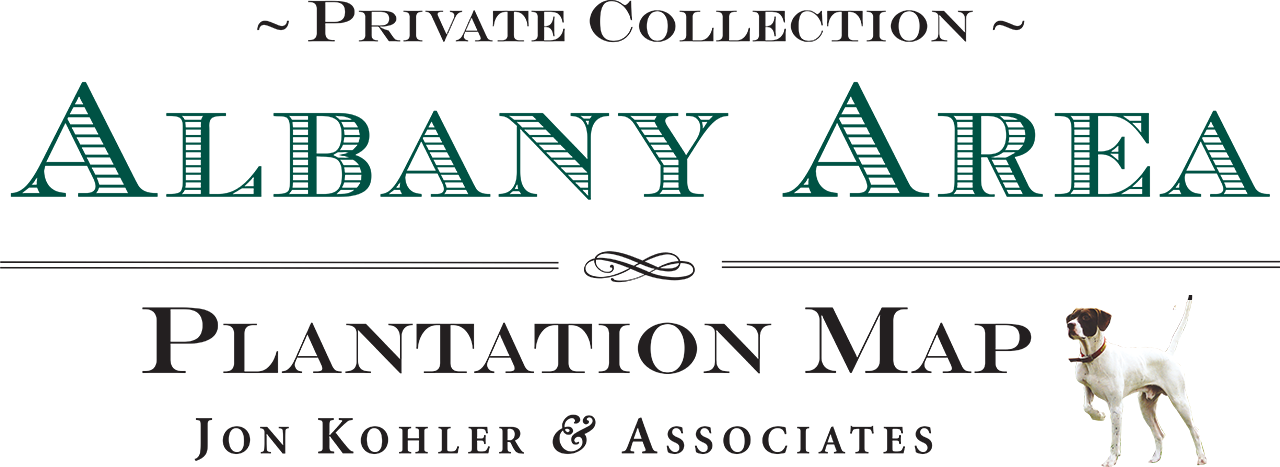 Albany Area Logo