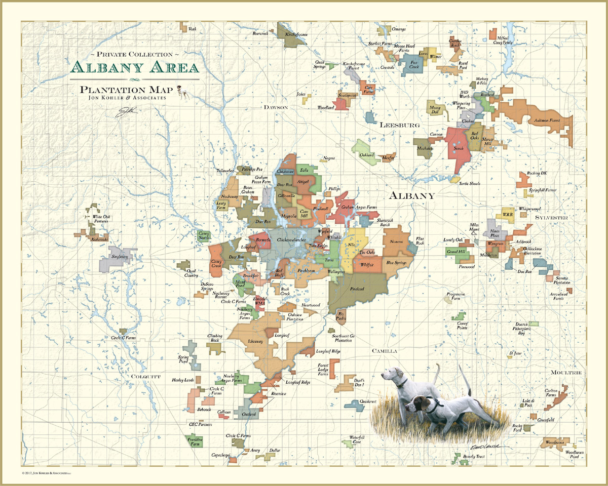 Albany Map