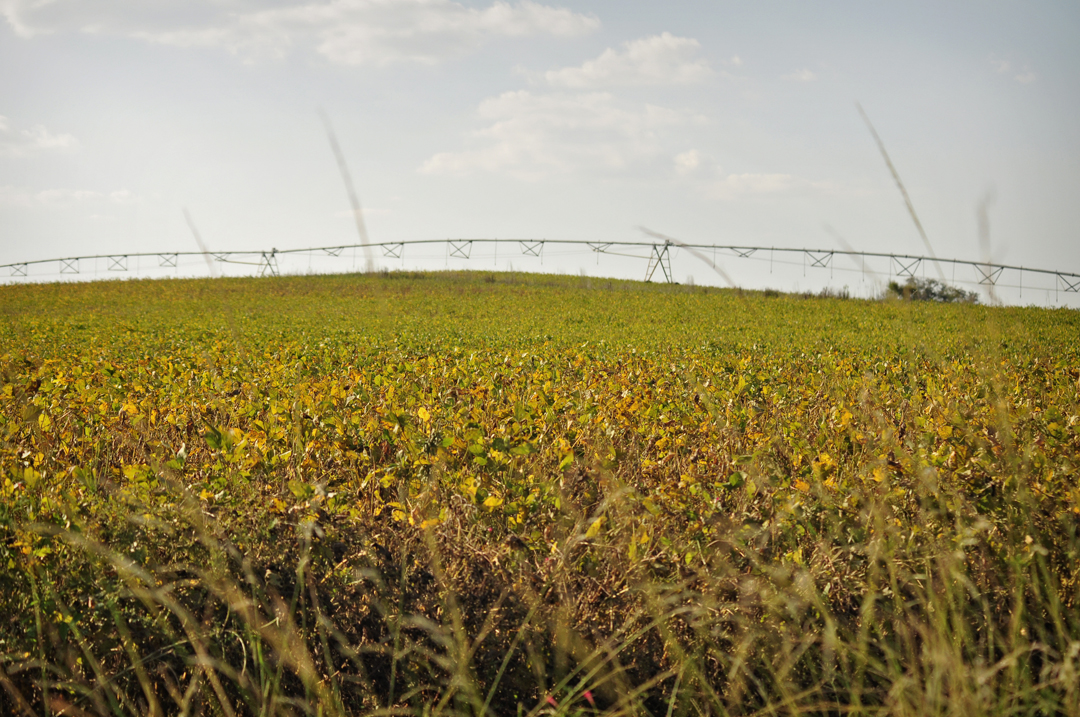 Field