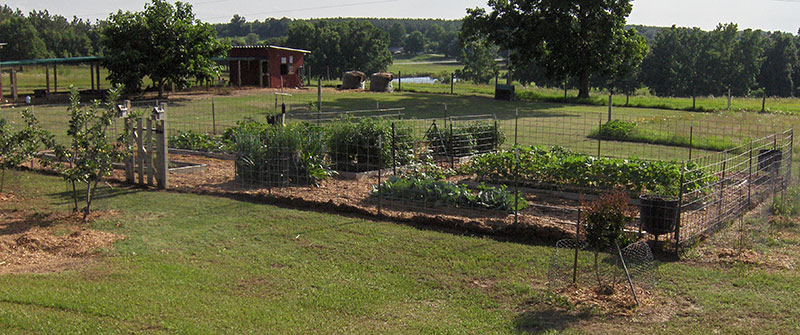 Social Storm Properties Farming
