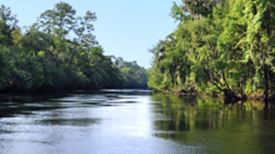 Deep Creek Plantation