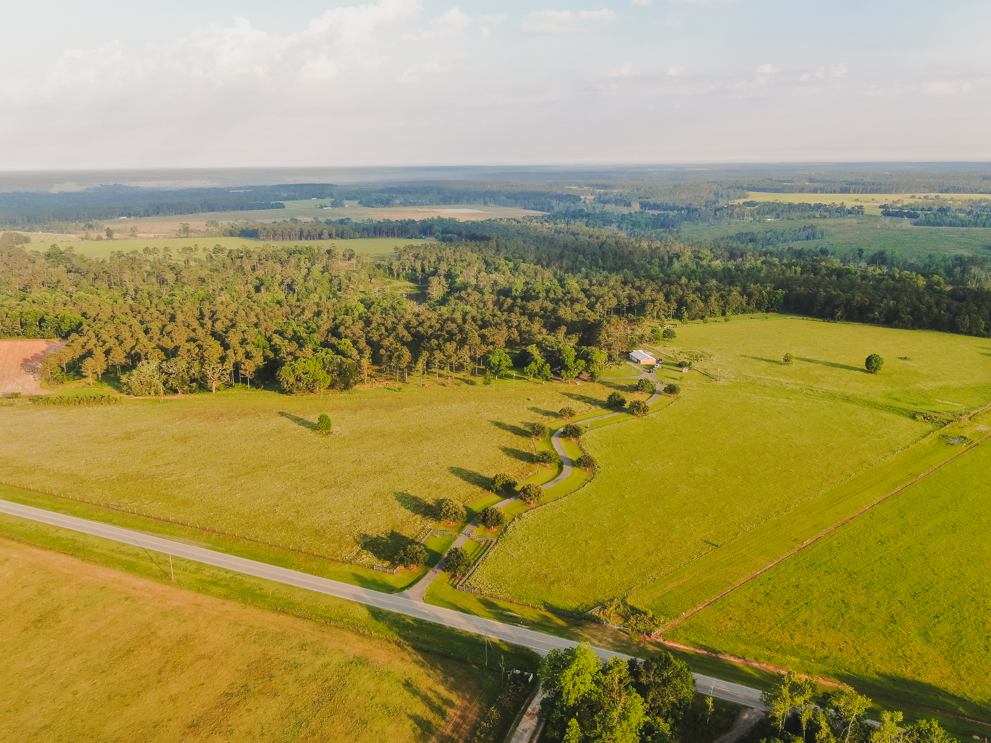 Field Areal