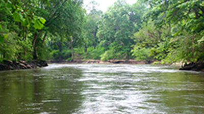 Flint Rock Plantation