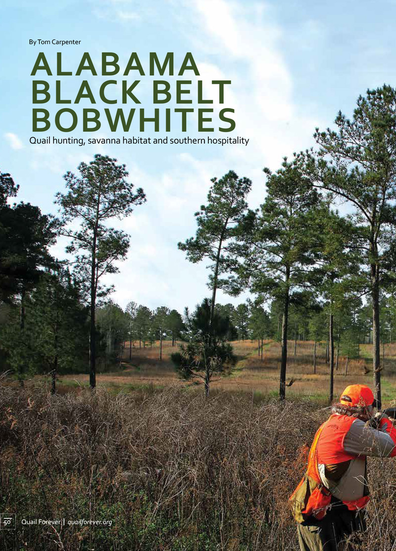 Alabama Black Belt Bobwhites Post