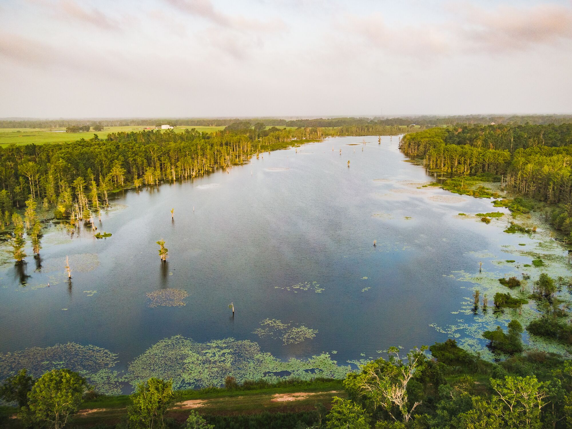 Lake Aerial