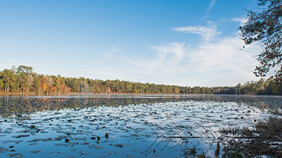 Hunter Lake