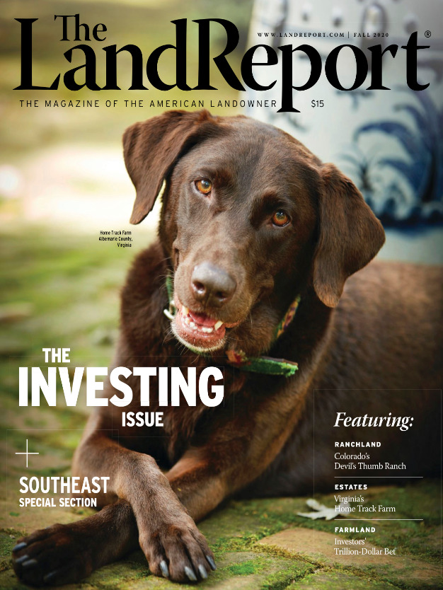 The Land Report Deep Creek Plantation