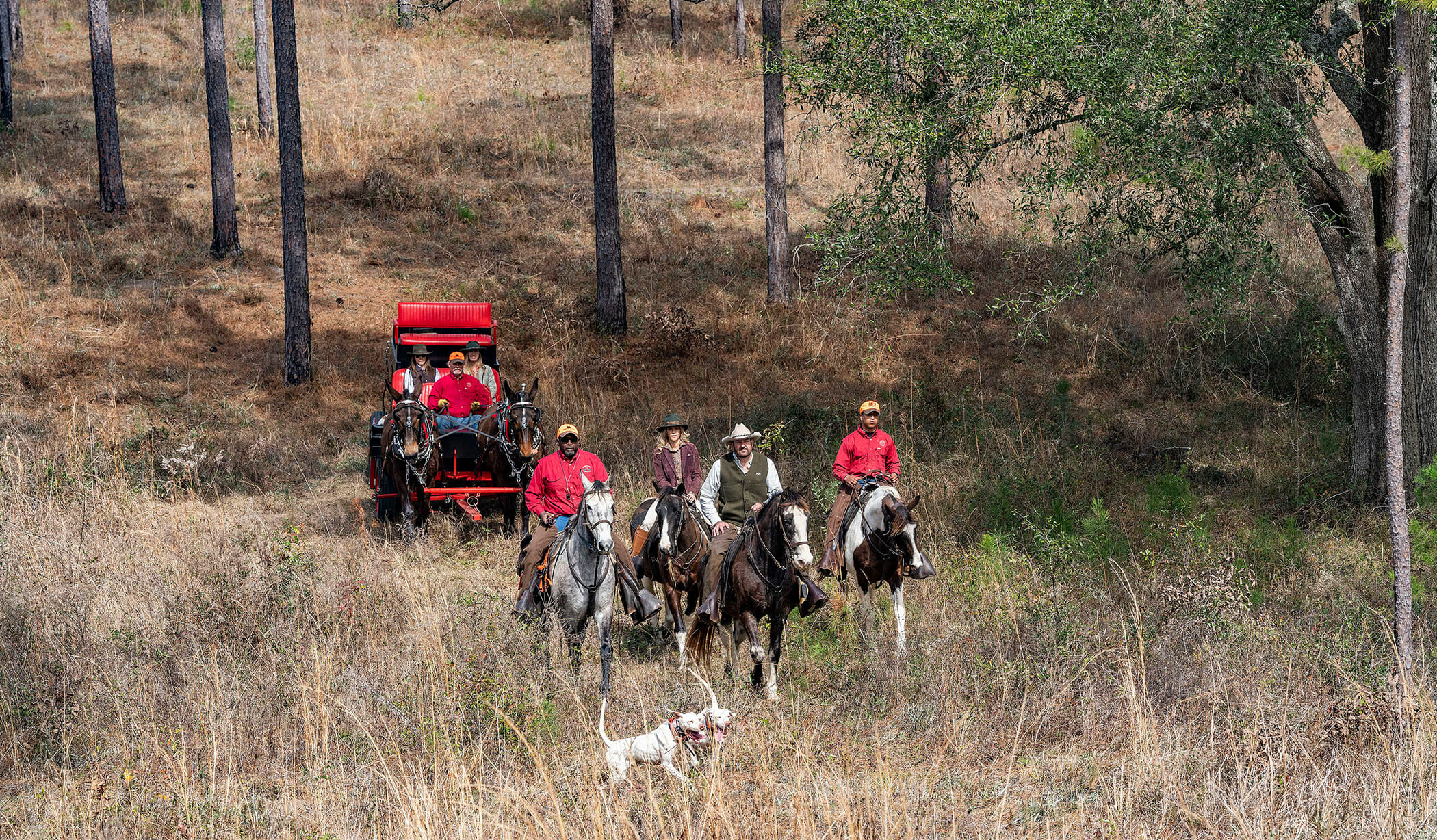 Pinewoods Plantation