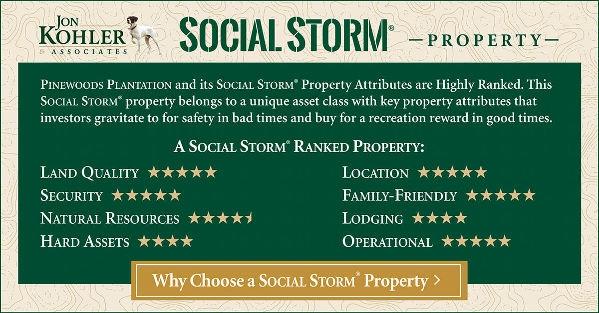 Social Storm Pinewoods