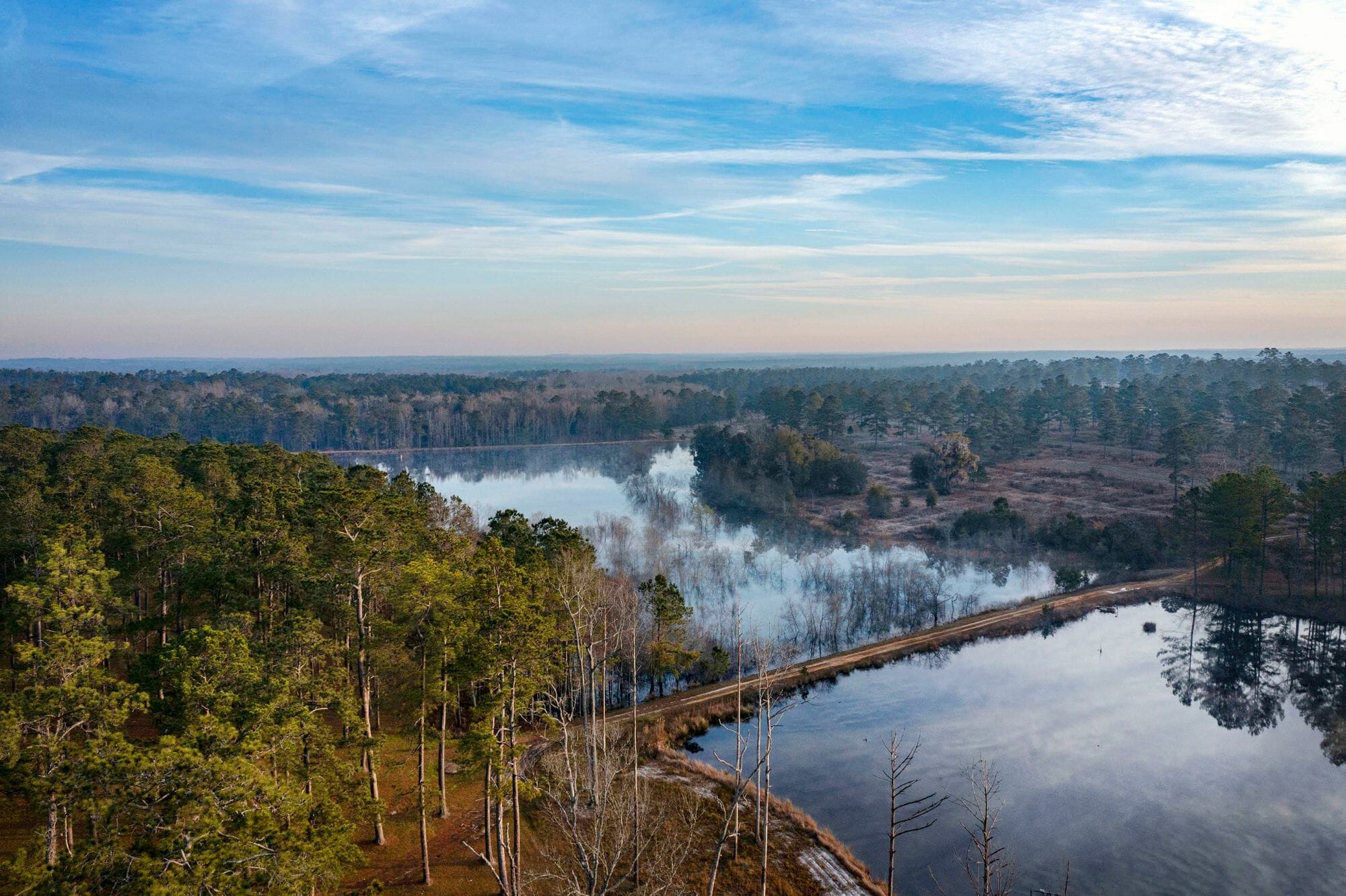 Lake Aerial Pinewoods