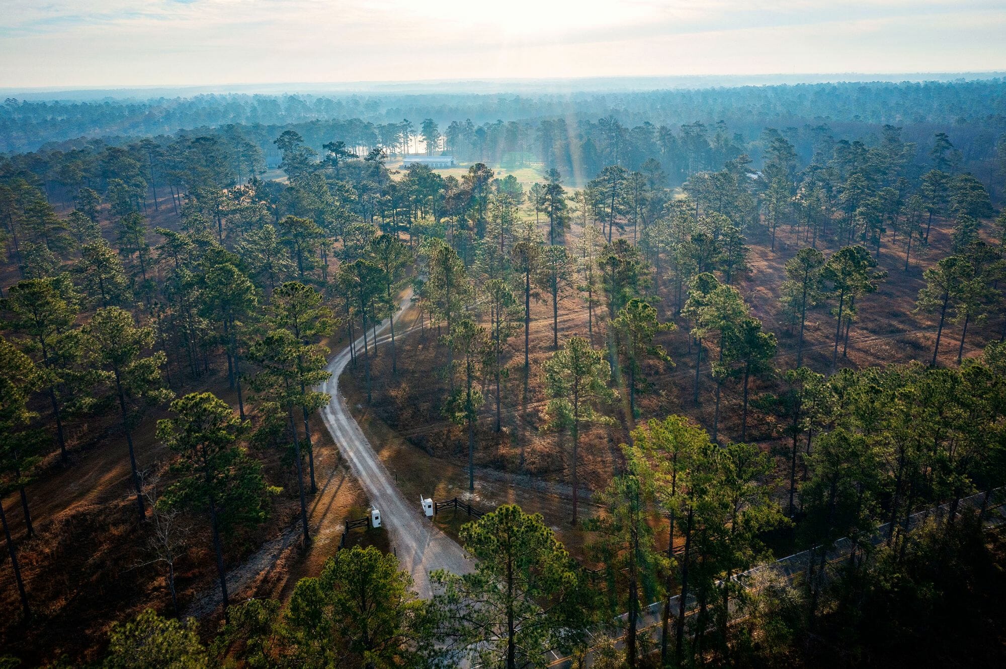Pinewoods Aerial