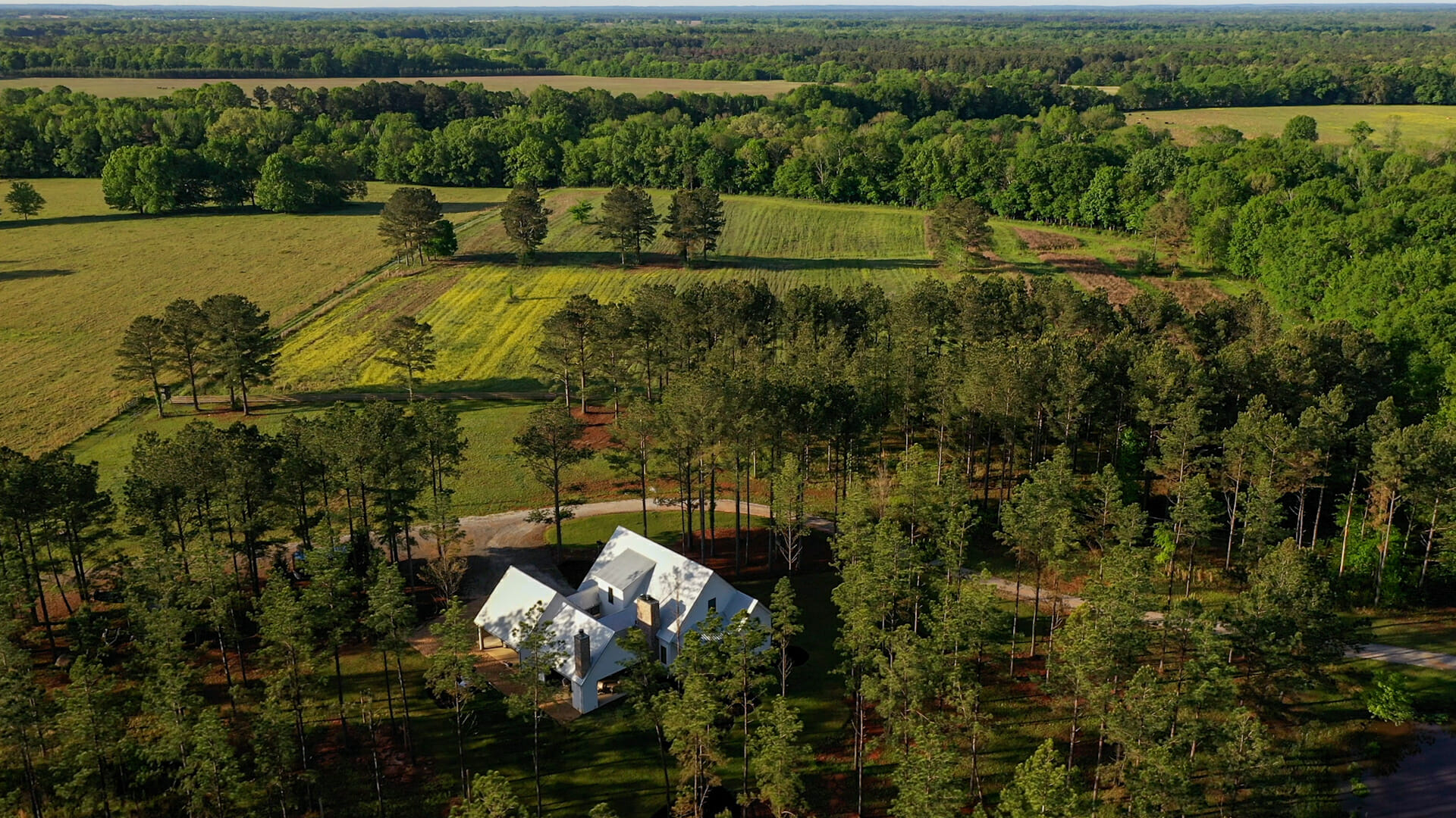house/dove field