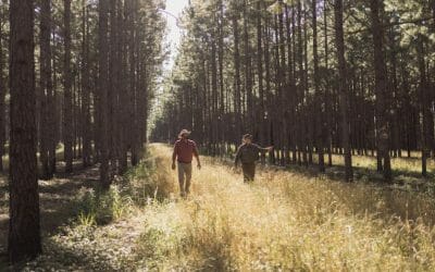 Gunpowder & Grit:An Ode to the Land Manager