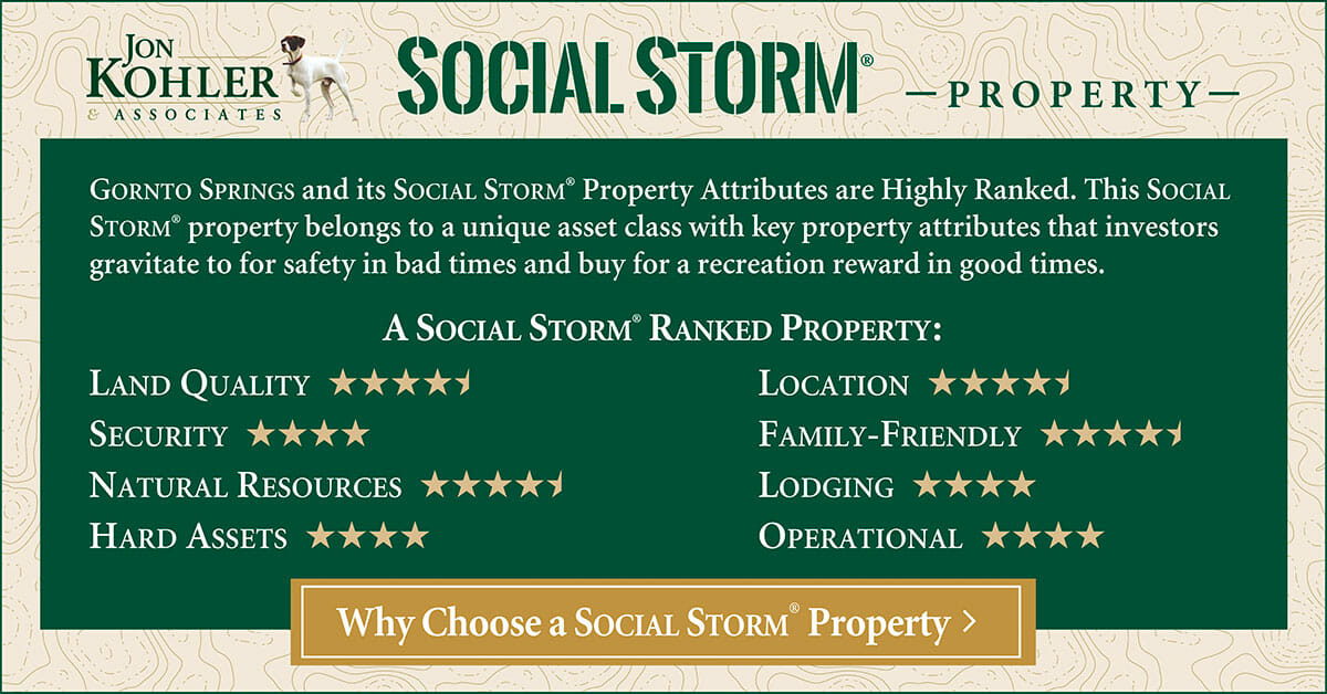 Gornto Social Storm