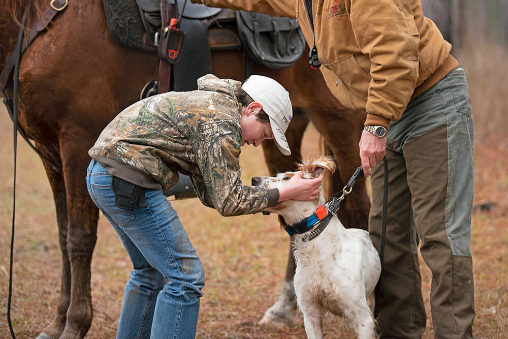 Photo-Credit–Chris-Mathan-Sporting-Dogs-2