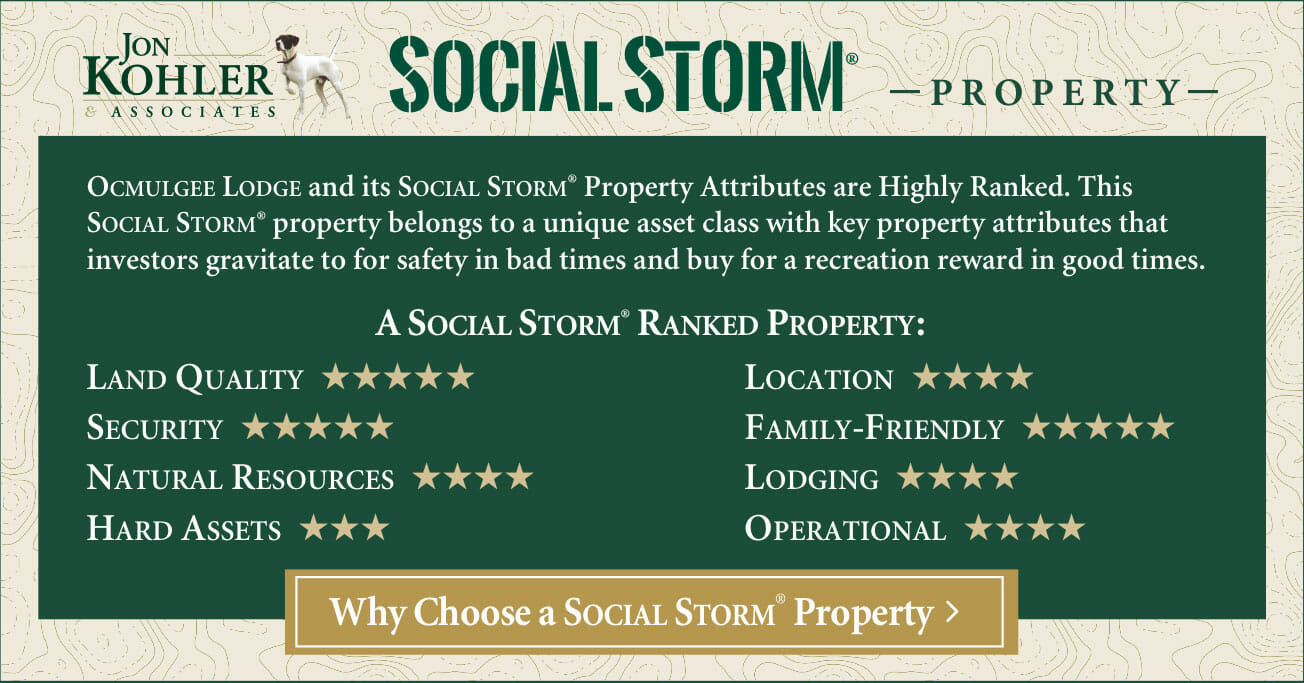 Social Storm Rankings