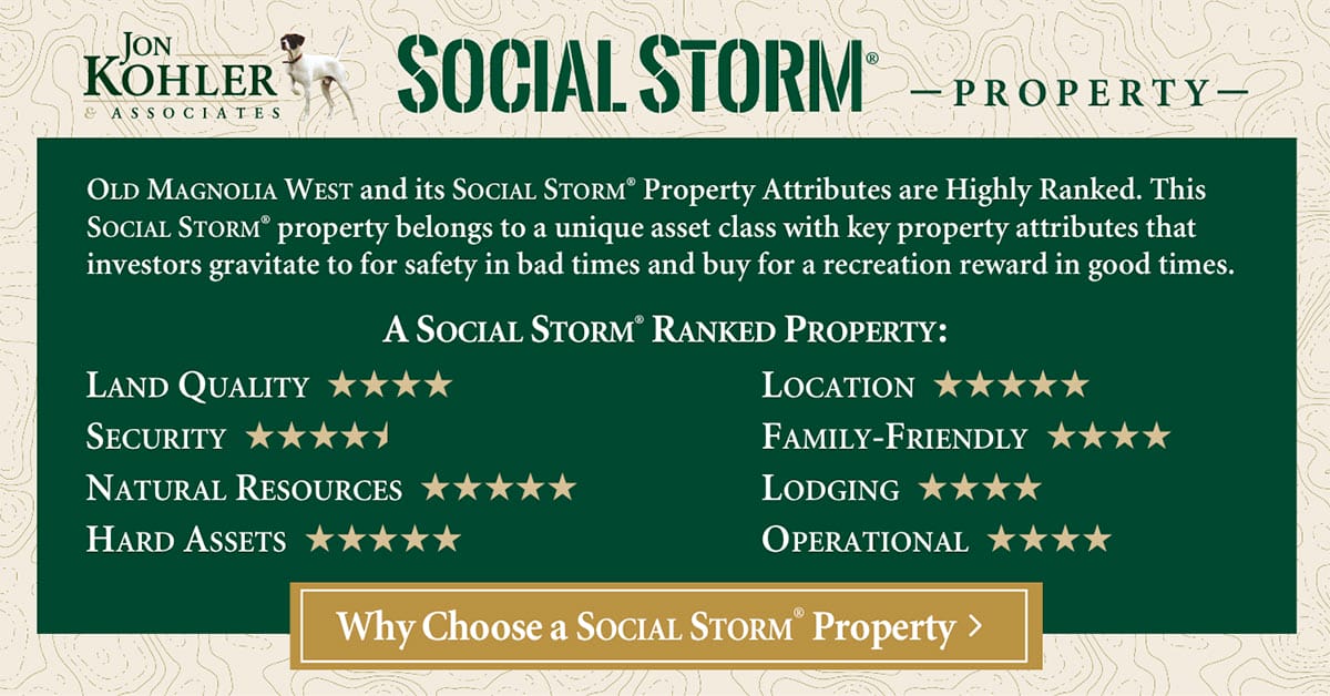 Social Storm Ranking Card