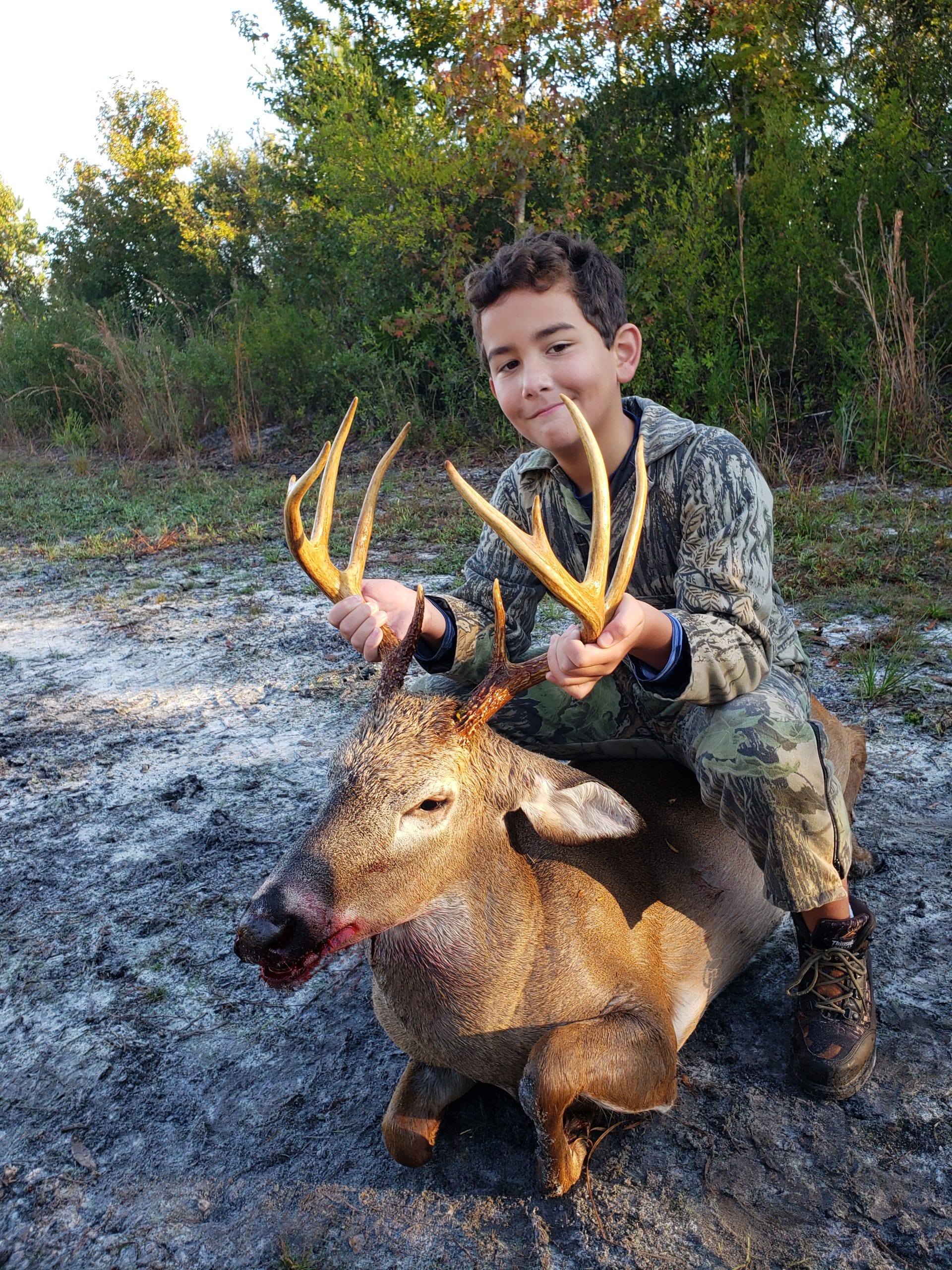 Deer