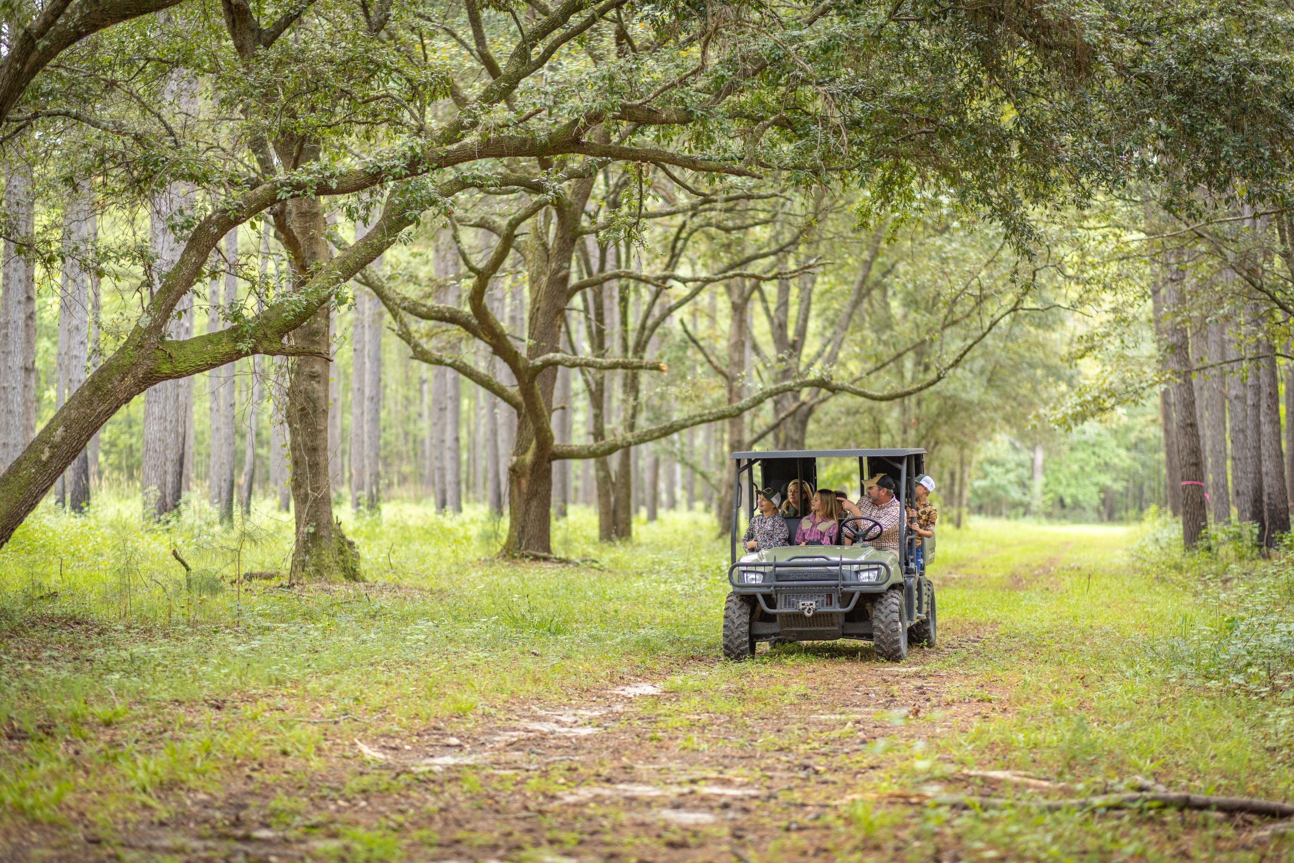 Maxfield Plantation